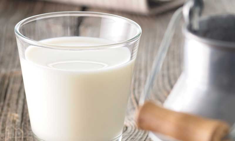 explica la diferencia entre alimentos y nutrientes